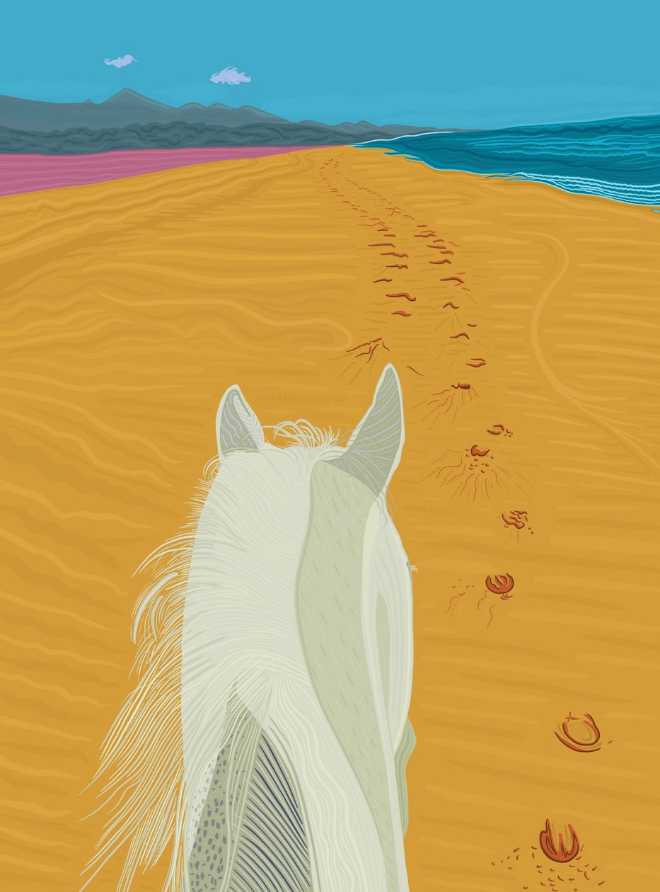 Pferd am Strand von Evan Sklar