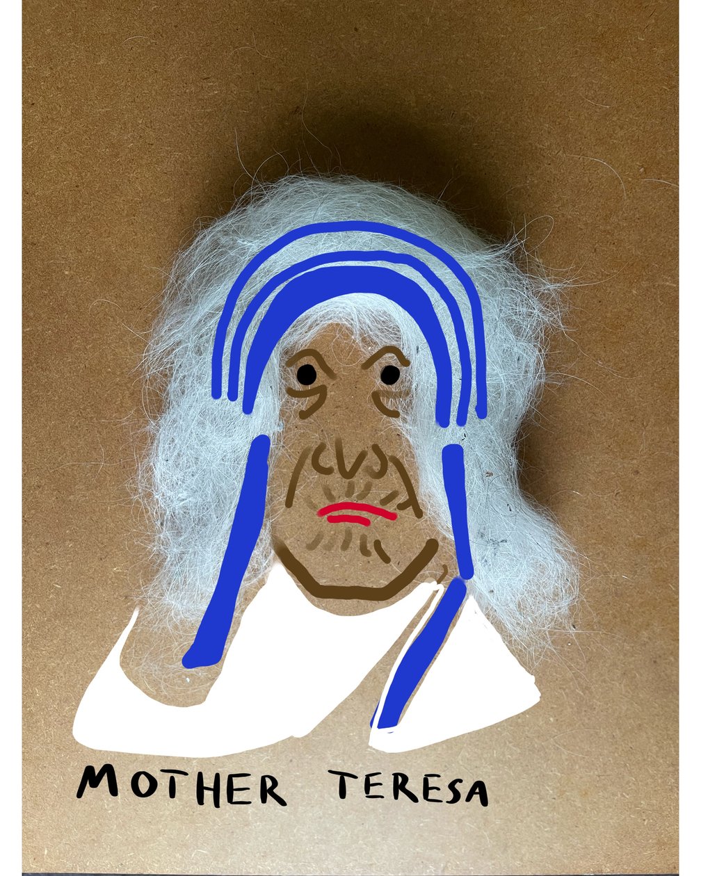 Mutter Teresa von Evan Sklar