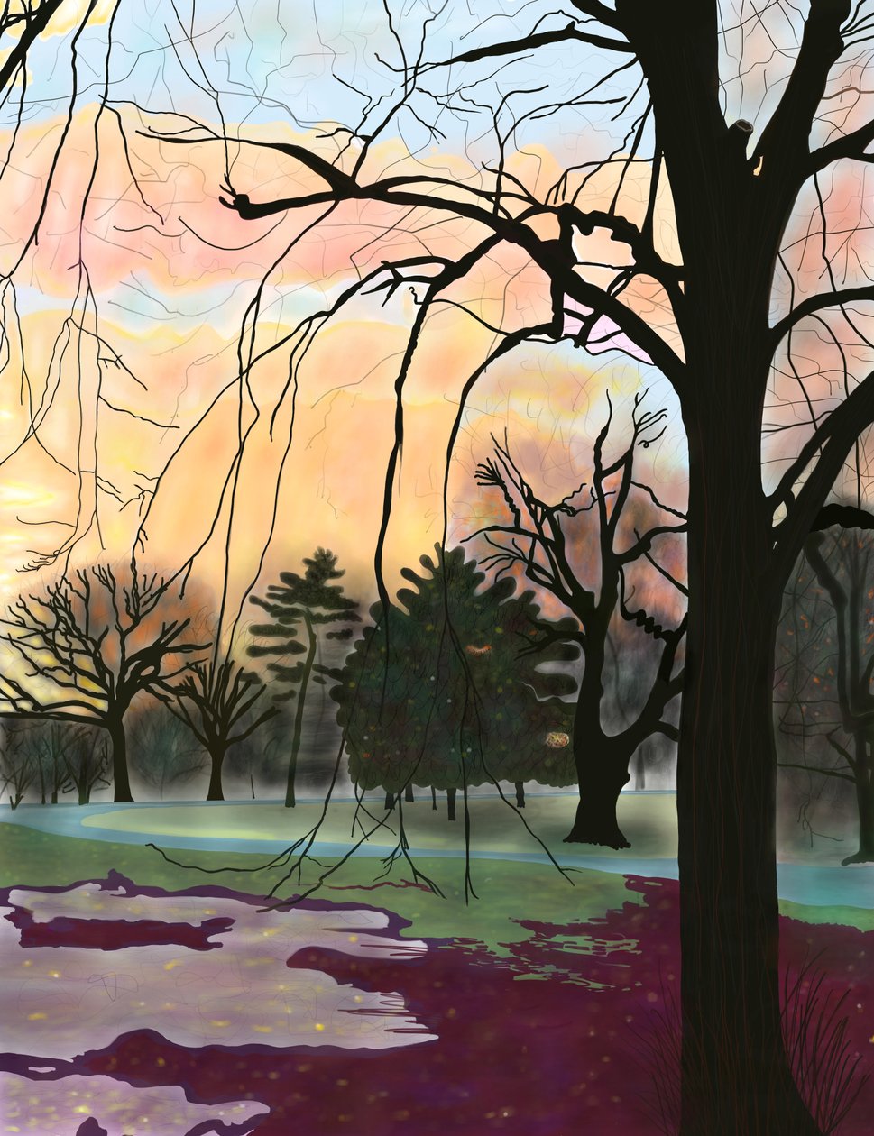 Prospect Park, Bäume von Evan Sklar