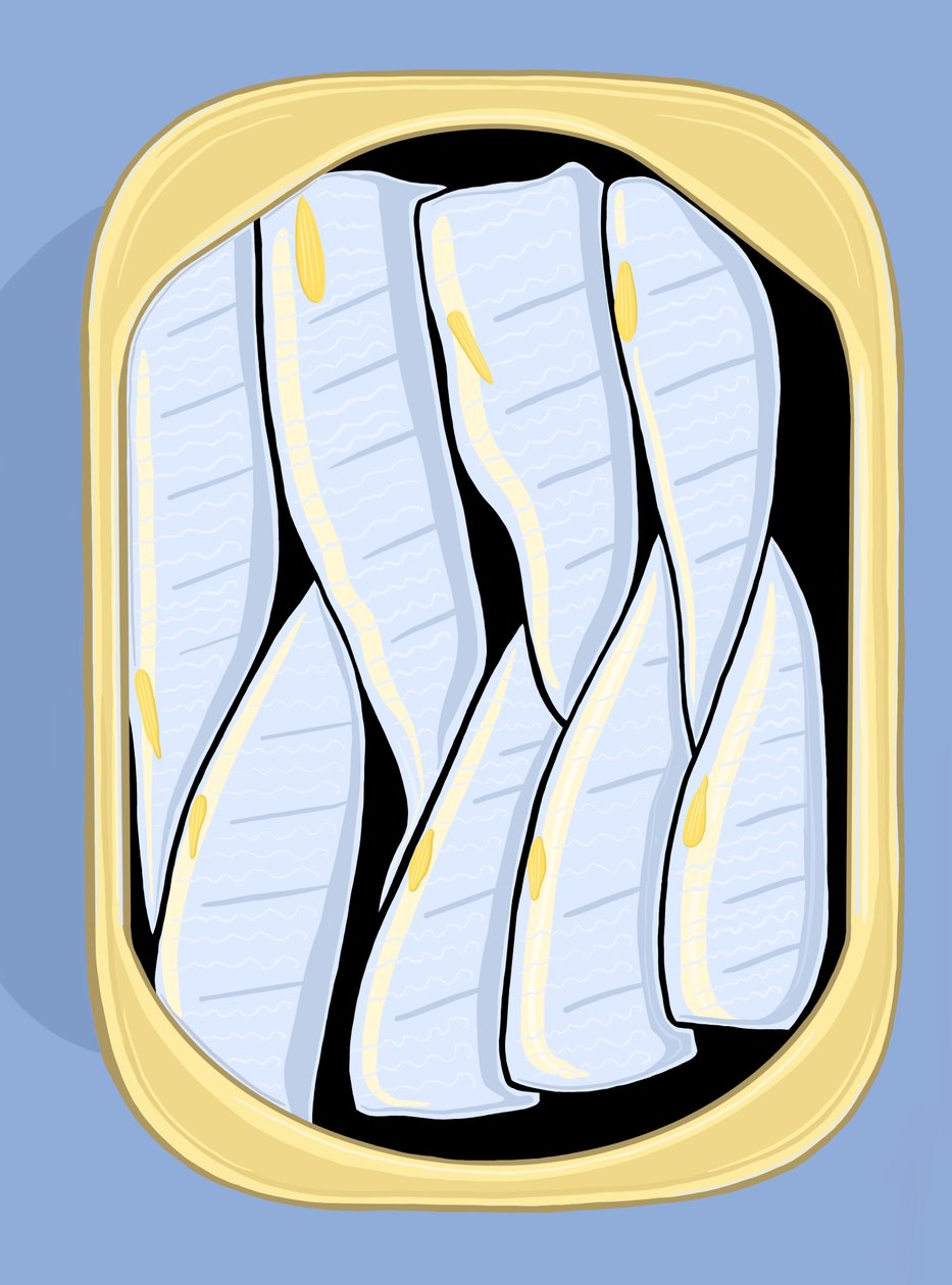 Sardinen, ca. 2020-24 von Evan Sklar