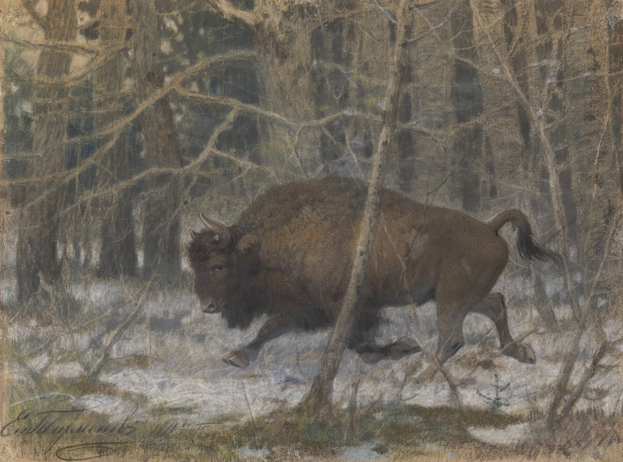 Der Waldbison von Evgeny Alexandrovich Tichmenev