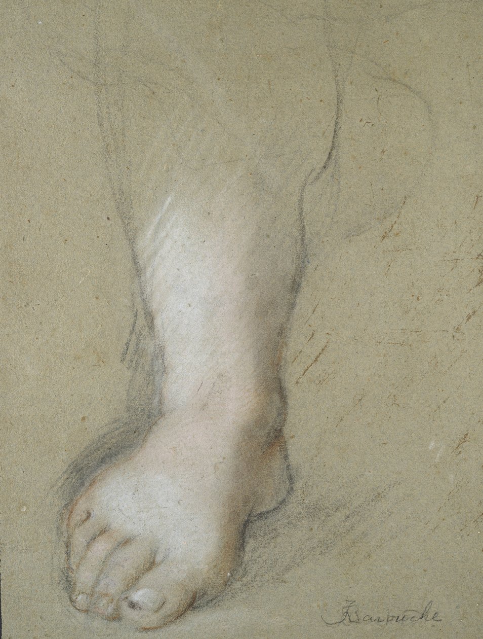 Studie eines Fußes (schwarze, rote, rosa und weiße Kreiden auf grauem Papier) von Federico Barocci