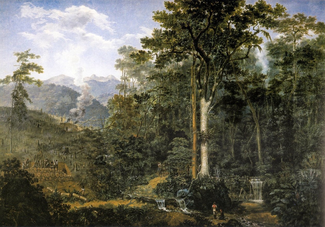 Ansicht eines zur Holzkohle reduzierten Urwaldes von Felix Taunay, Baron of Taunay