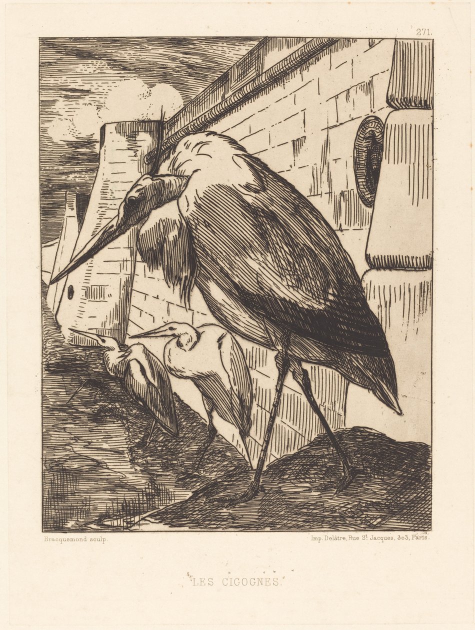 Die Störche von Felix Bracquemond