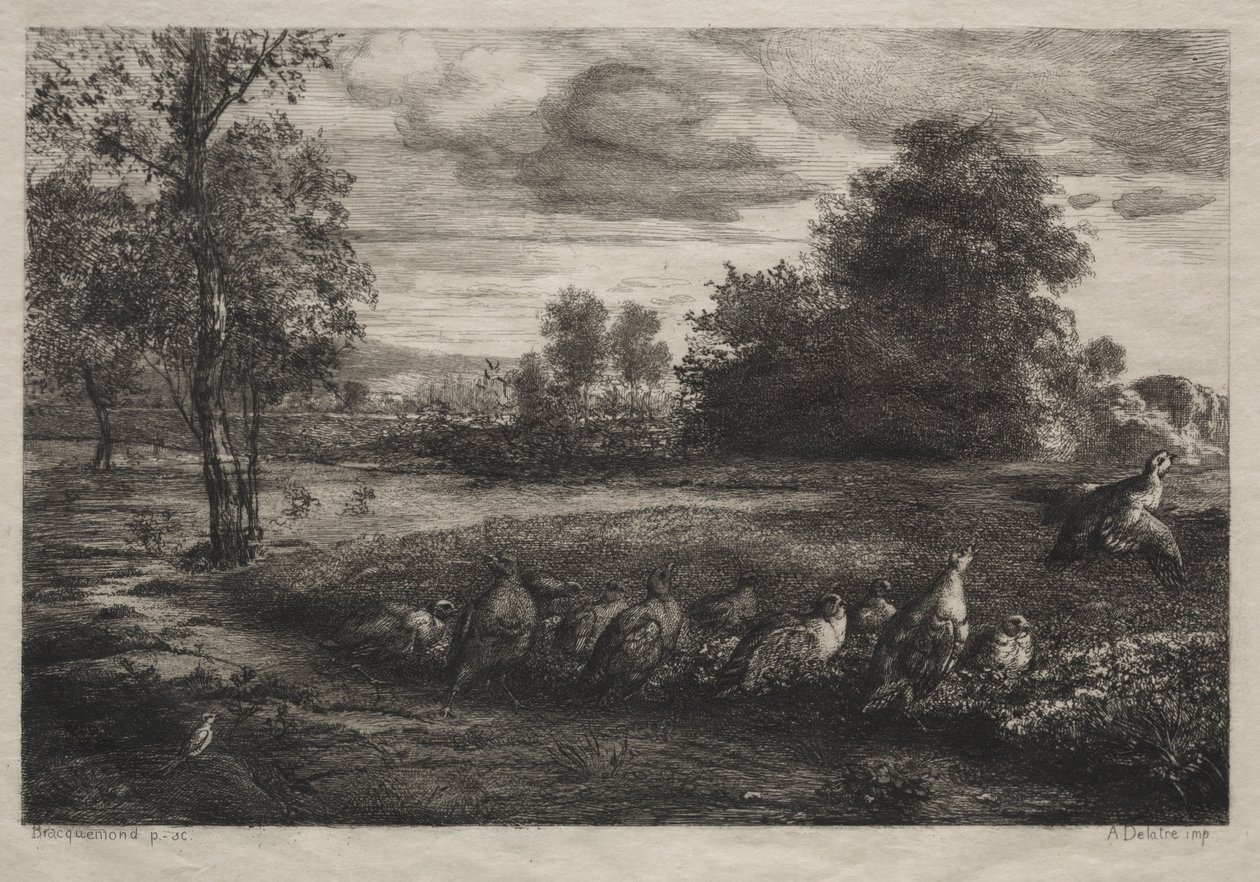 Der Ruf zur Ordnung, 1859 von Felix Bracquemond