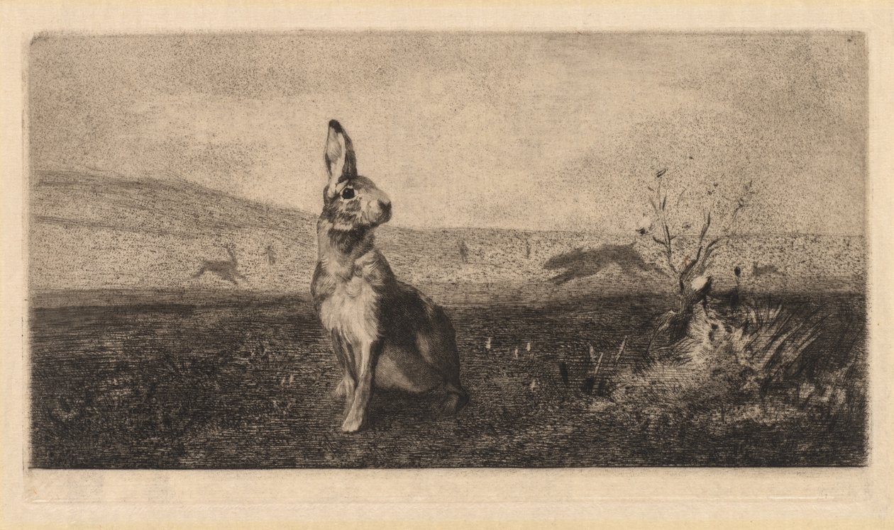 Der Hase, 1865 von Felix Bracquemond