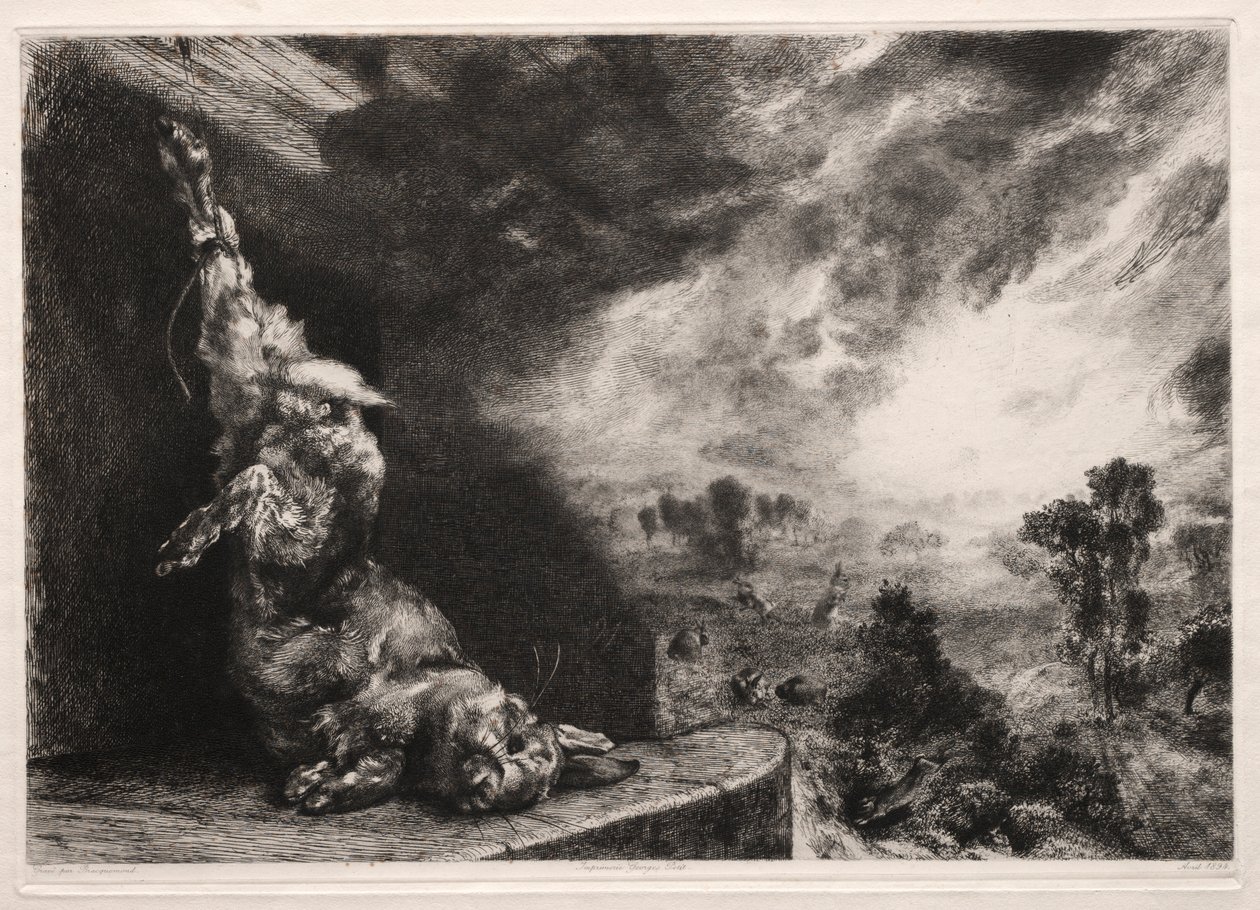Der große Hase, 1891, gedruckt 1894 von Felix Bracquemond