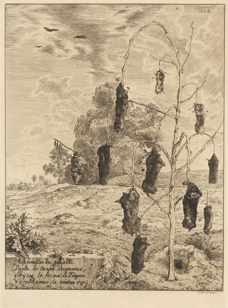 Die Maulwürfe (Les taupes) von Felix Bracquemond