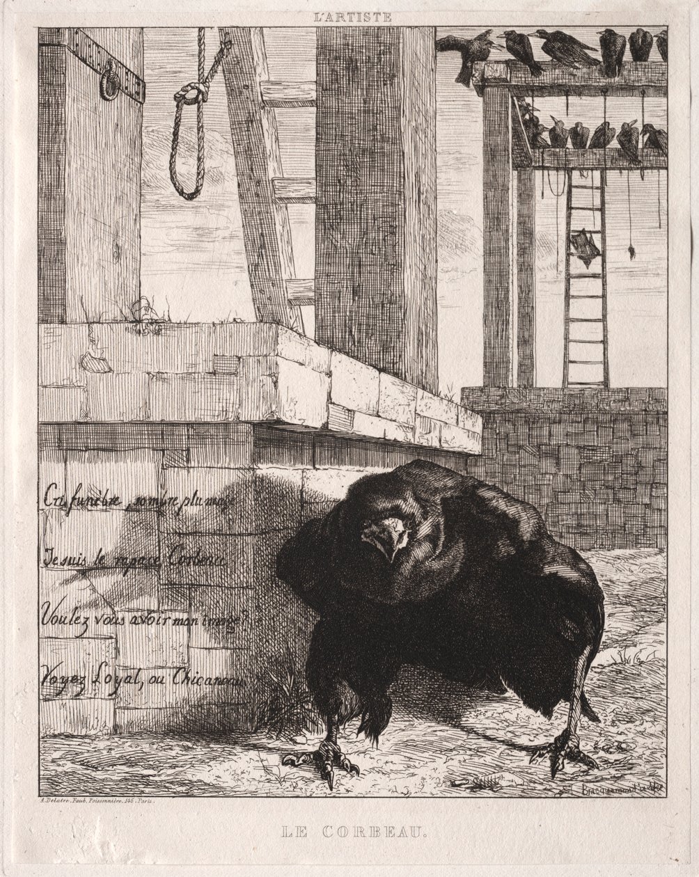 Der Rabe, 1854 von Felix Bracquemond