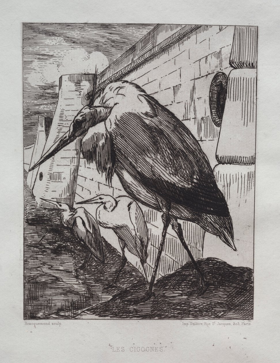 Die Störche, 1865 von Felix Bracquemond