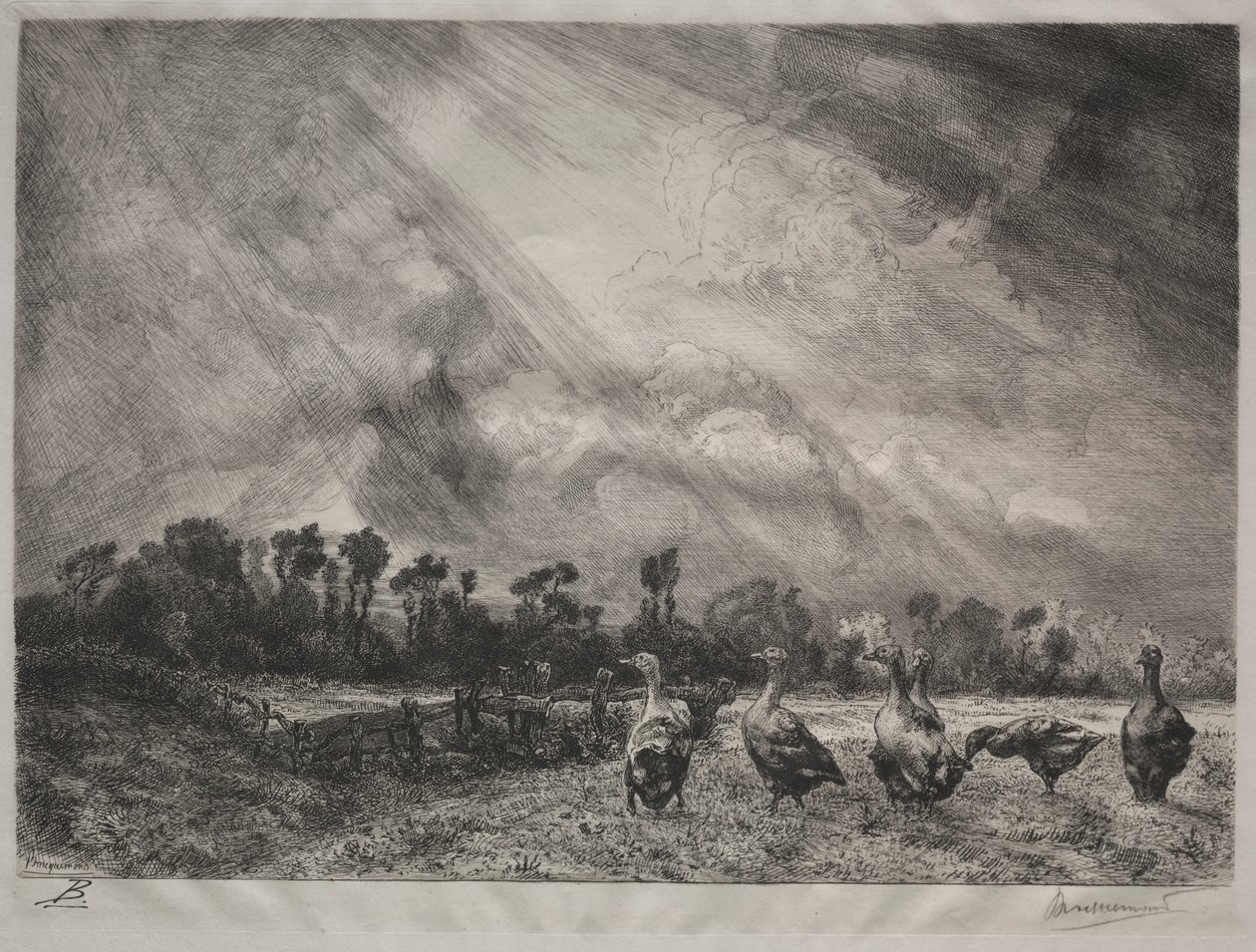 Die Sturmwolke von Felix Bracquemond