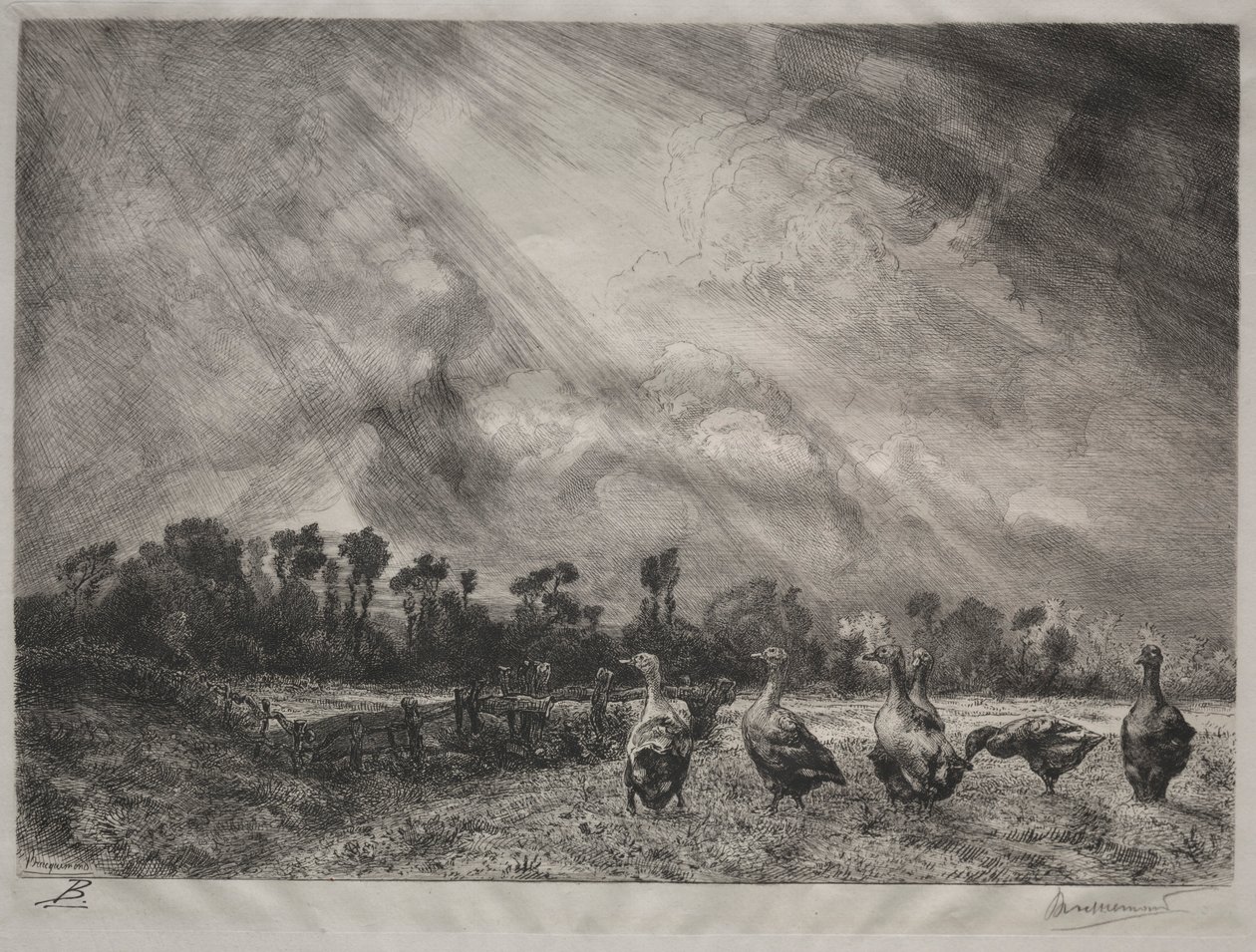 Die Sturmwolke, 1878-1887 von Felix Bracquemond