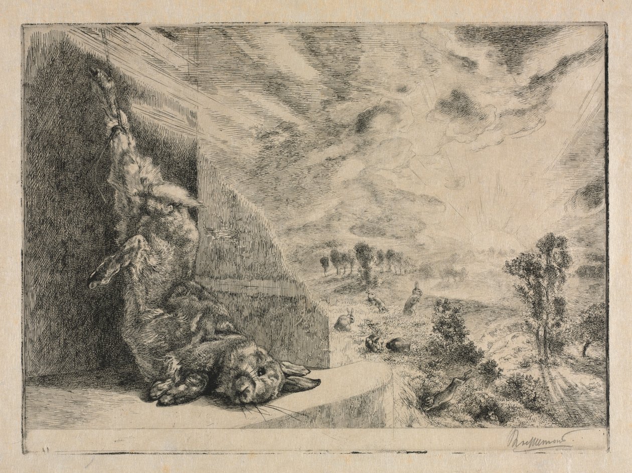 Das Wildkaninchen, 1891 von Felix Bracquemond