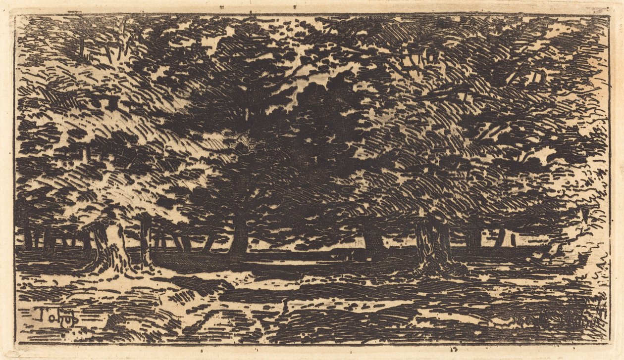 Wald (Forêt) von Felix Hilaire Buhot