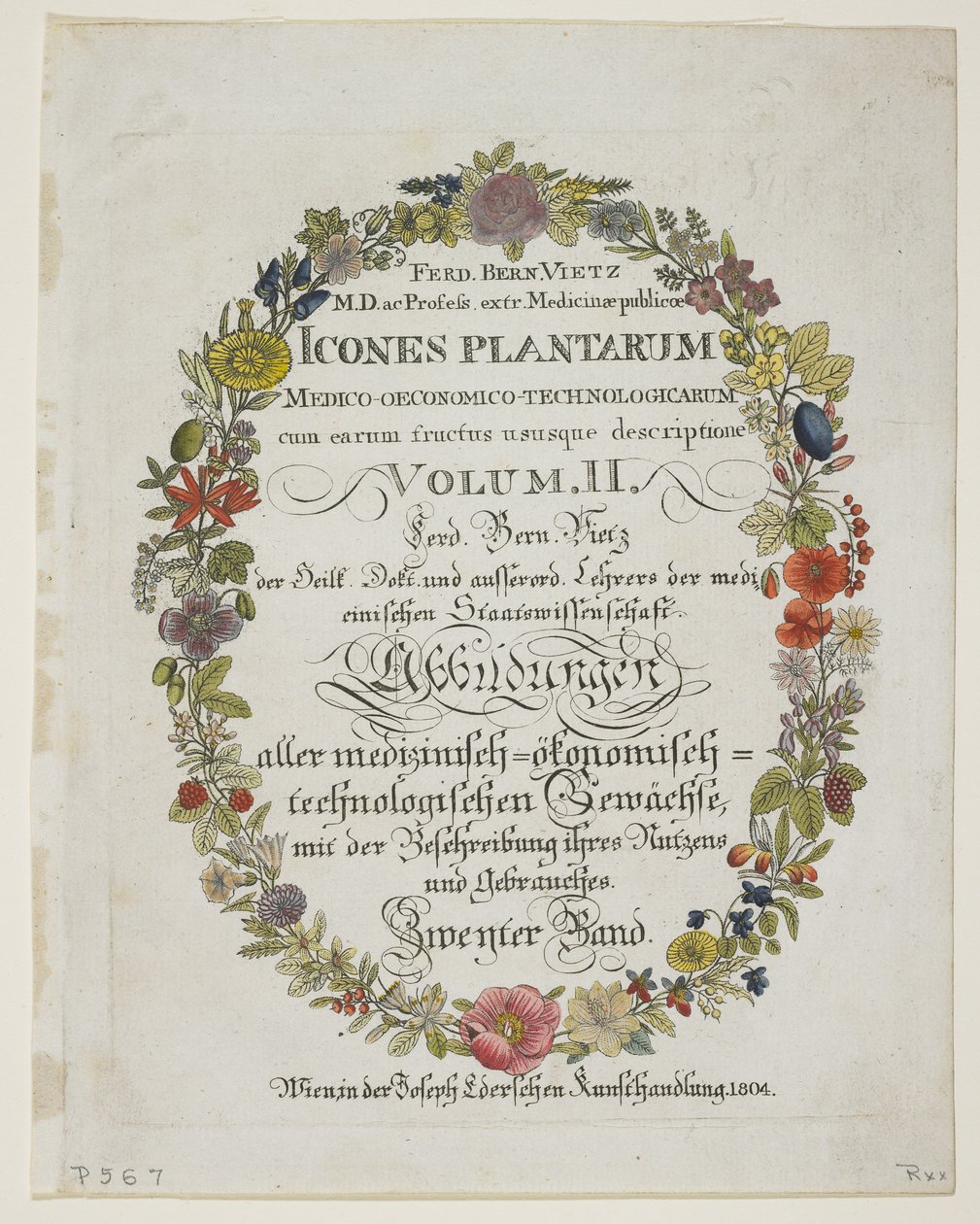 Frontispiz und Titelseite, Band II, aus Icones Plantarum Medico-Oeconomico-Technologicarum cum Earum Fructus ususque Descriptione, 1804 von Ferdinand Bernhard Vietz