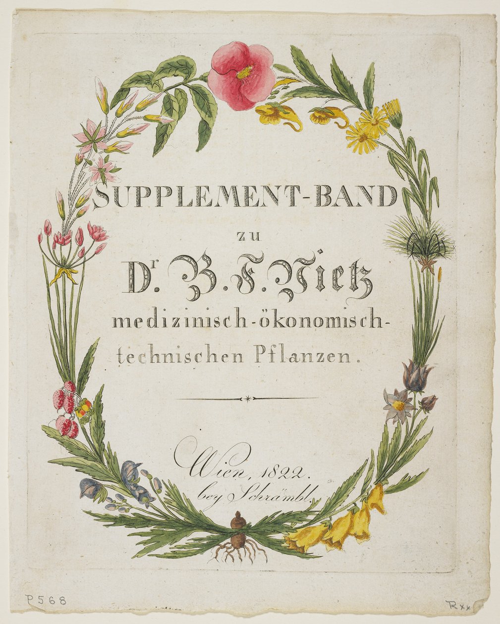 Frontispiz und Titelseite zu Supplement-Band zu Dr. B. F. Vietz medizinisch-okonomisch-technischen Pflanzen von Ferdinand Bernhard Vietz