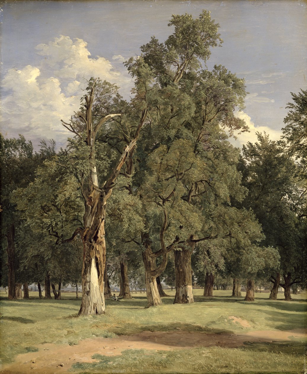 Ulmen im Prater von Ferdinand Georg Waldmuller