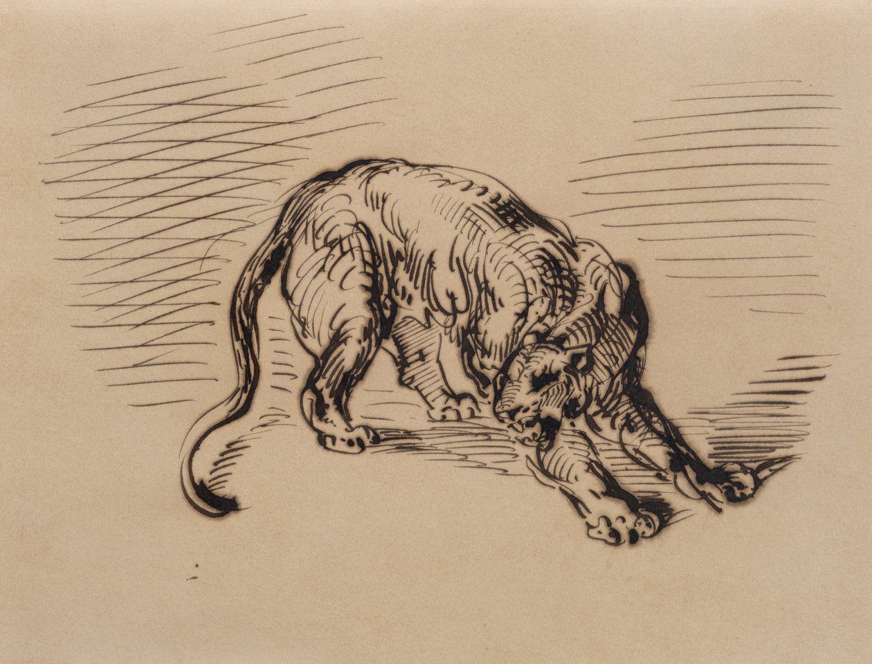 Tiger, erschrocken von einer Schlange, 1858 von Ferdinand Victor Eugene Delacroix