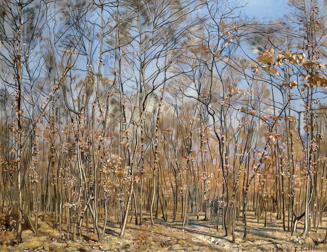 Buchenwald, 1885-1894 von Ferdinand Hodler