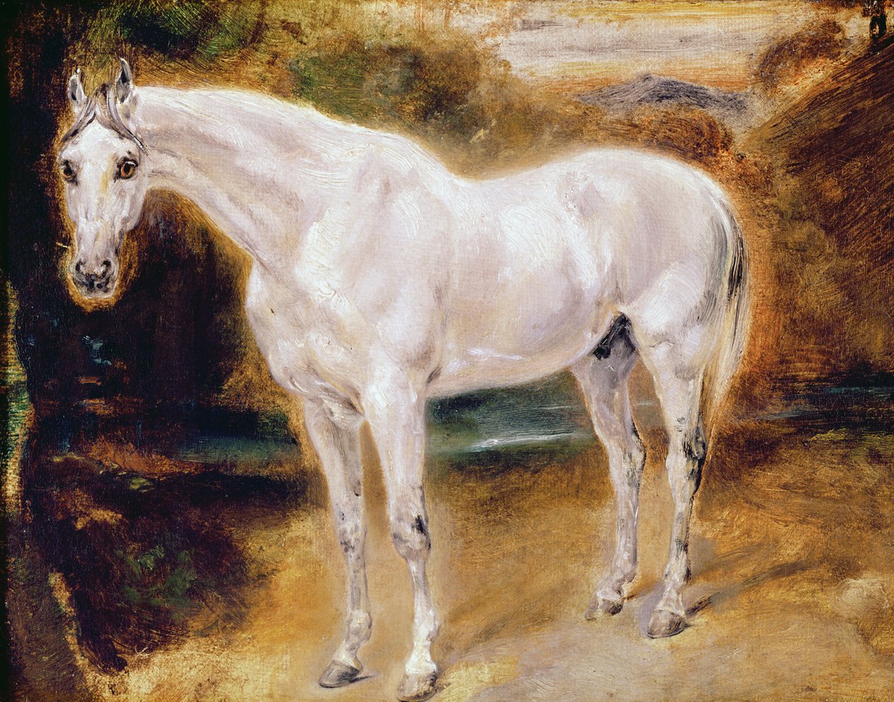 Weißes Pferd von Ferdinand Victor Eugene Delacroix