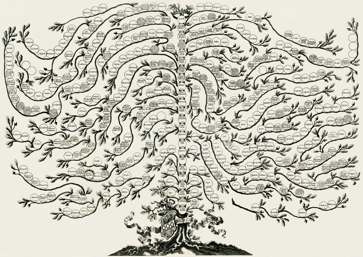 Albero genealogico marsciano ughelli von Ferdinando Ughelli