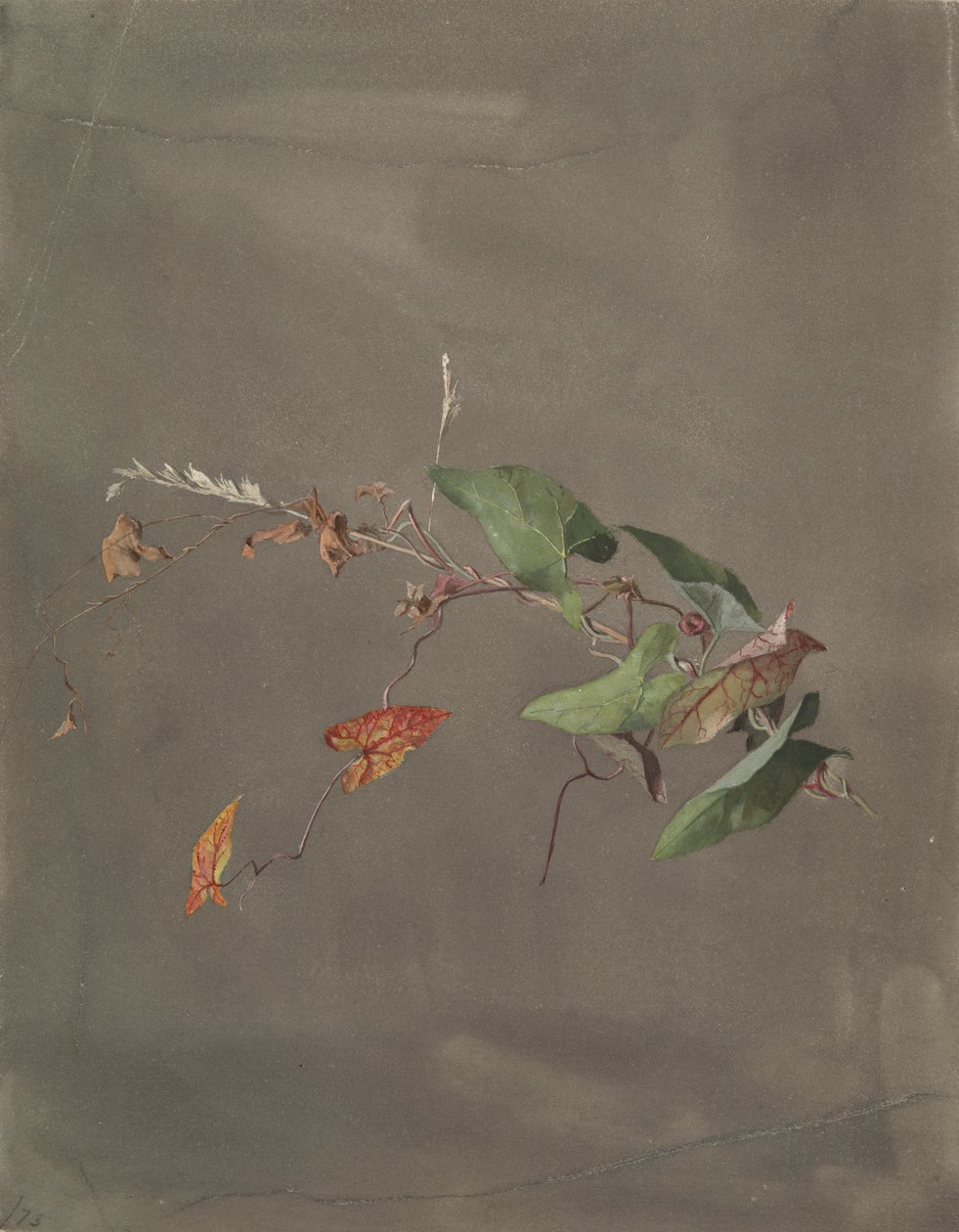 Winde von Fidelia Bridges