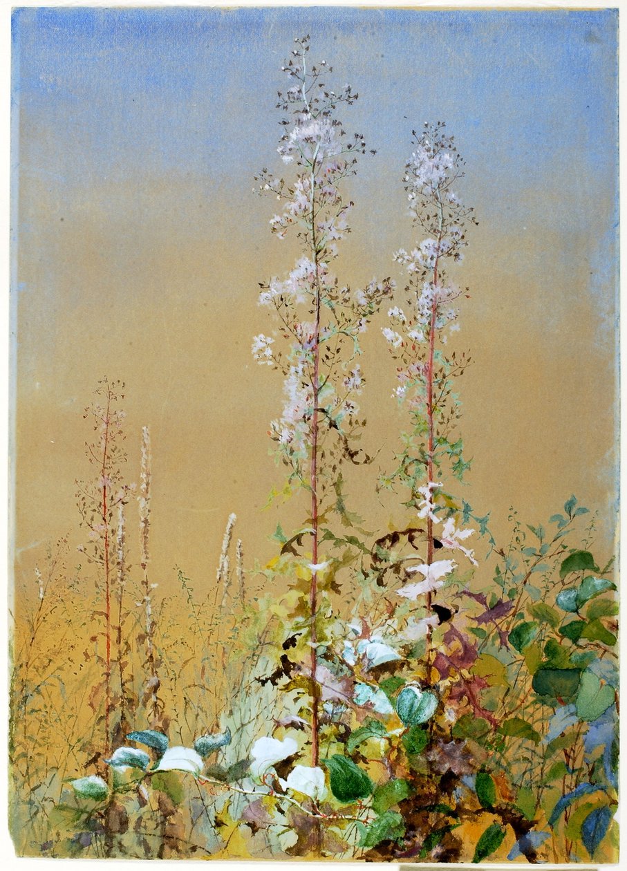 Ohne Titel von Fidelia Bridges