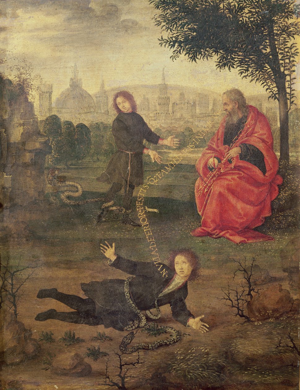 Allegorie, ca. 1485-90 von Filippino Lippi