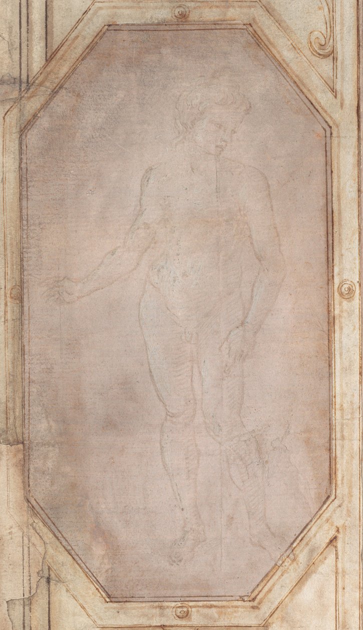 Stehender nackter Jüngling von Filippino Lippi