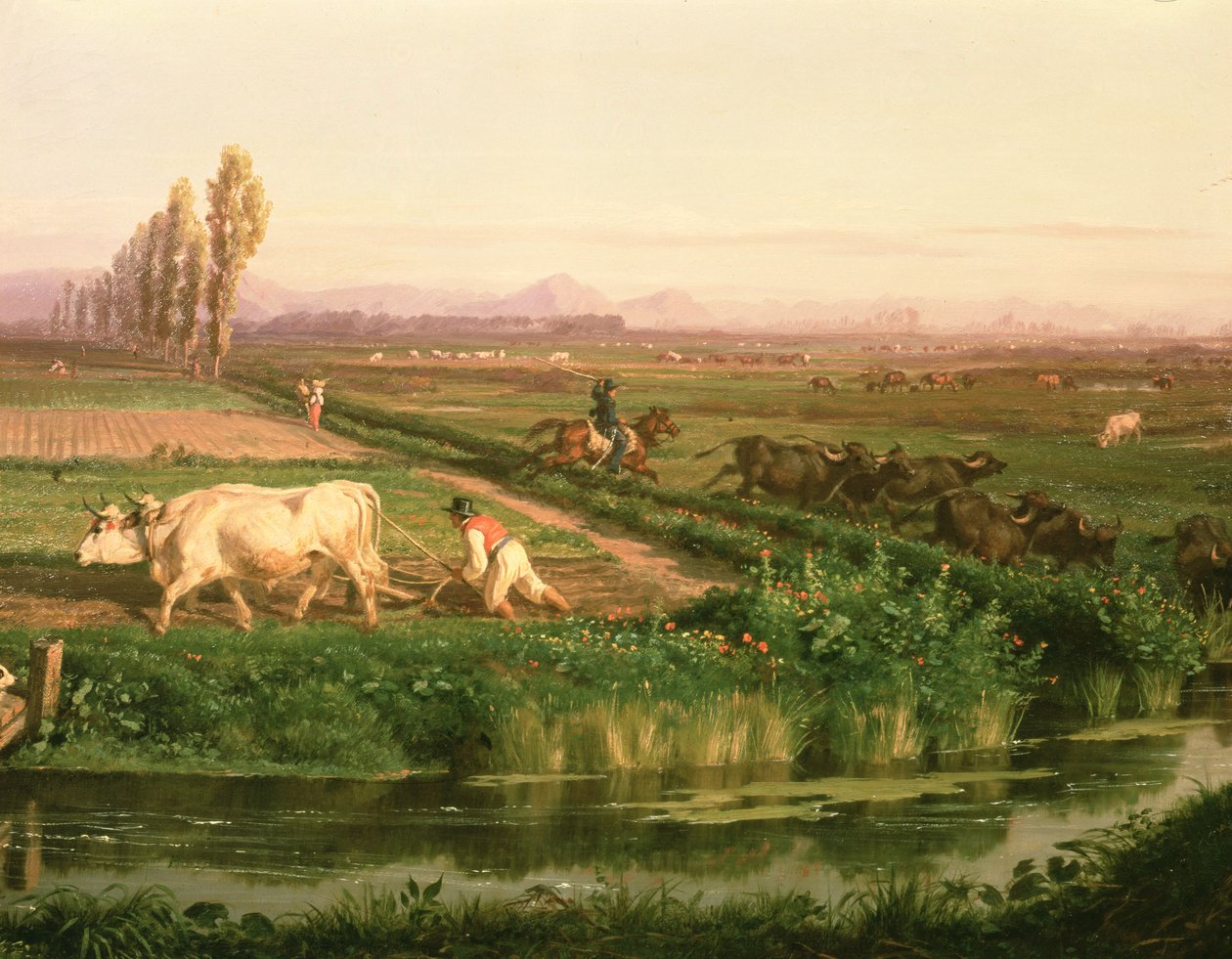 Ansicht von Carditello von Filippo Palizzi