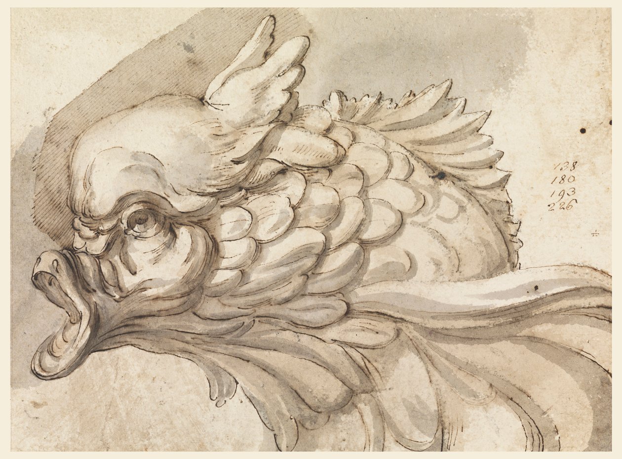 Zeichnung, Kopf eines Delfins, ca. 1775 von Filippo Marchionni