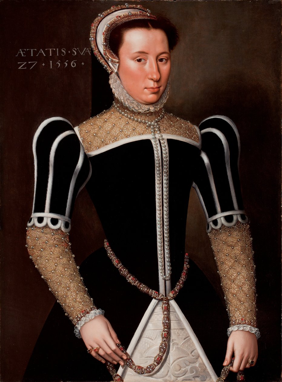 Porträt einer Frau, 1556 von Flemish School