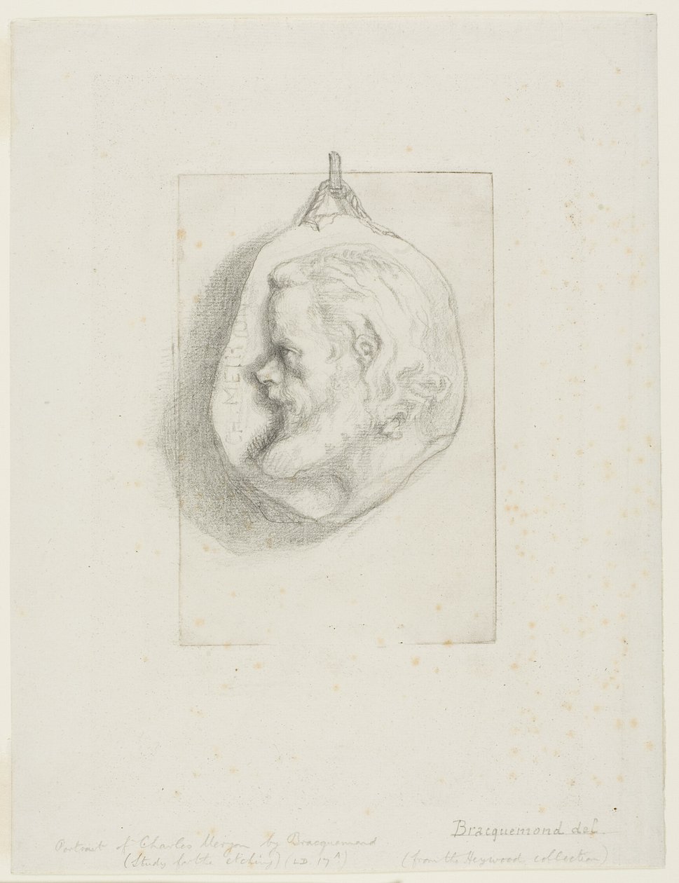 Profilporträt von Charles Meryon von Félix Henri Bracquemond