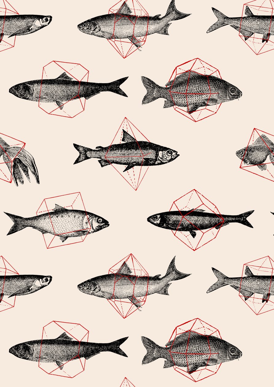 Fische in Geometrie von Florent Bodart
