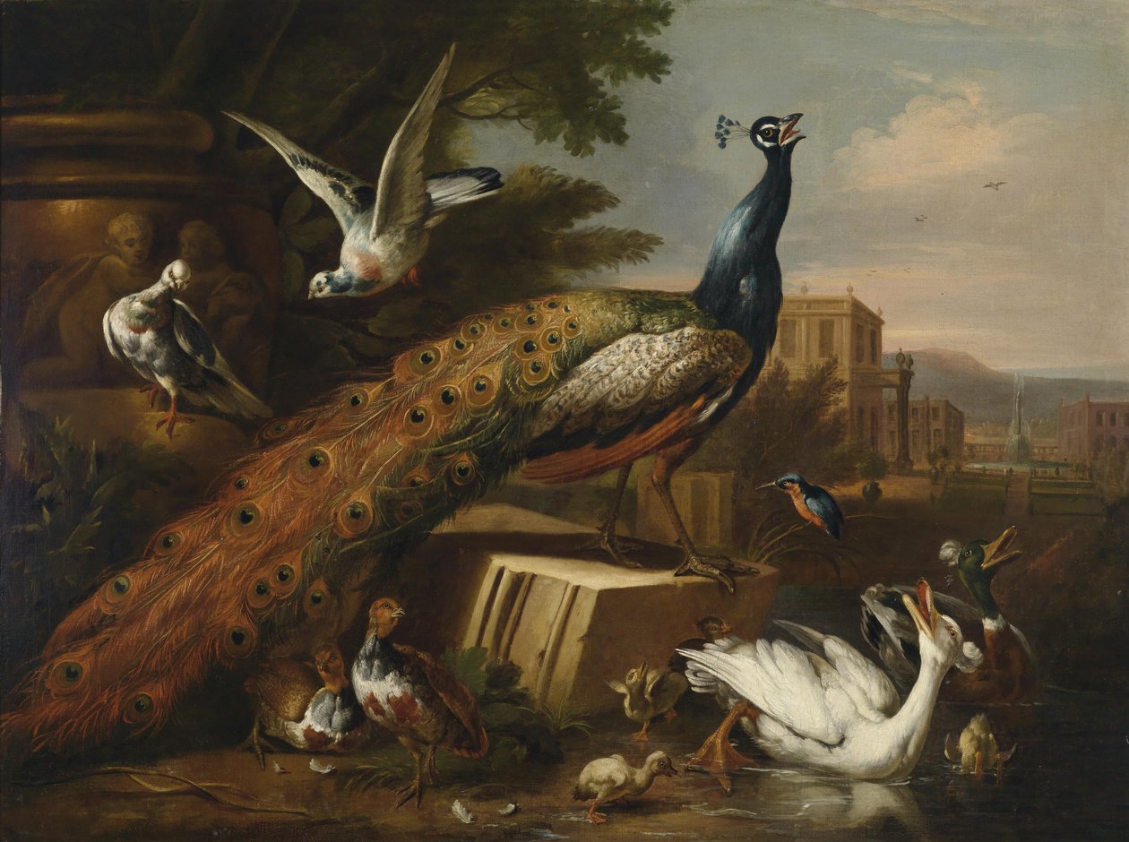 Ein von Tauben, Hühnern und Wasservögeln umgebener Pfau in einem Schlosspark von Follower of Pieter Casteels III