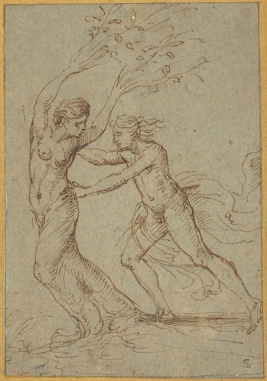 Apollo und Daphne von Follower of Giulio Romano