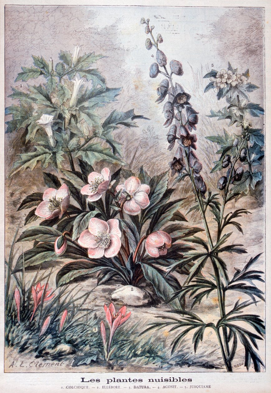 Schädliche Pflanzen, 1897 von Fortuné Méaulle