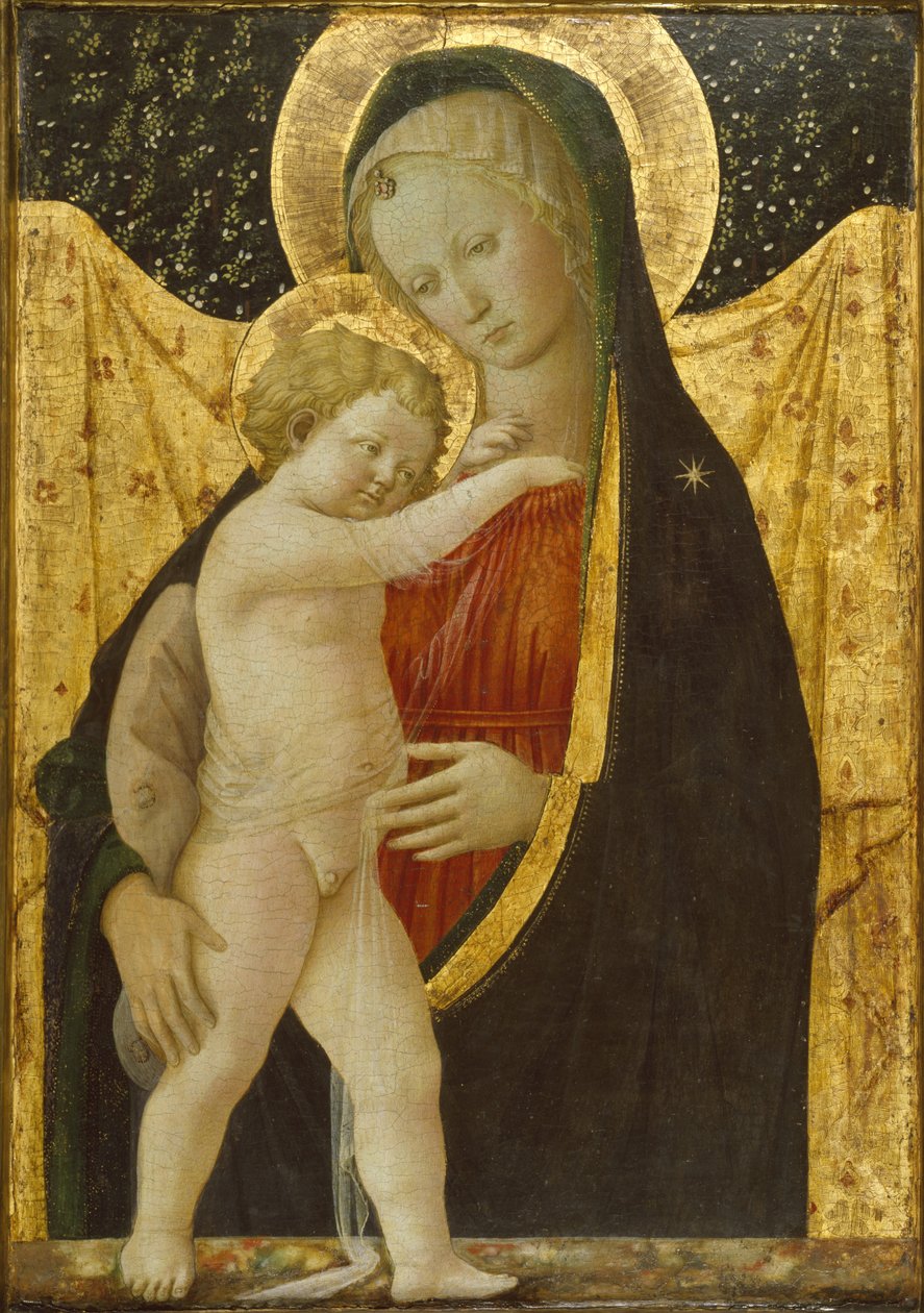 Madonna mit Kind, ca. 1446-47 von Fra Filippo Lippi