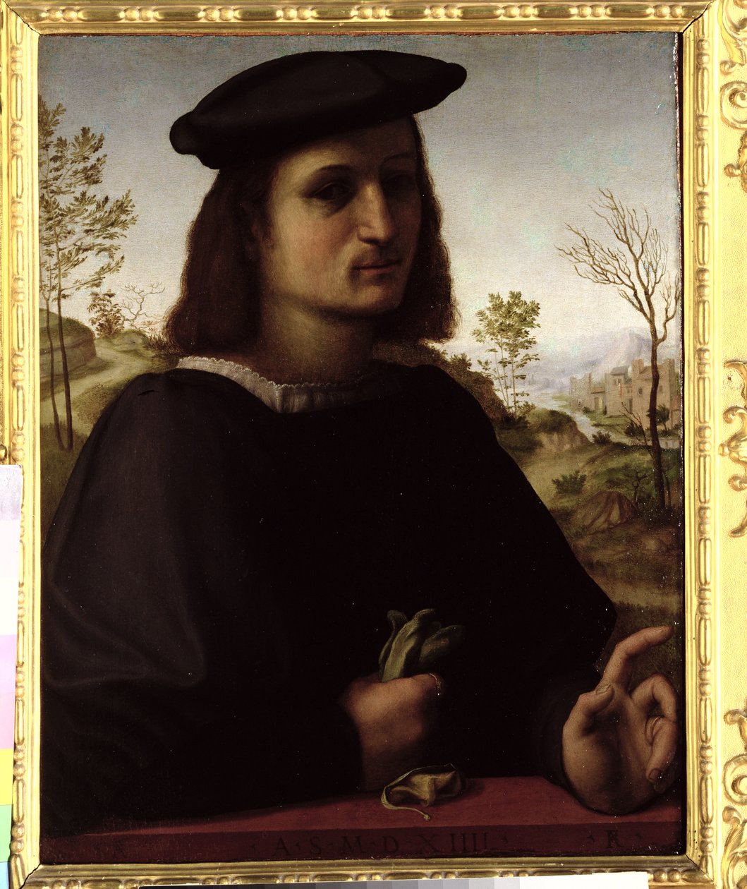 Porträt eines Jugendlichen mit Handschuhen von Francesco di Cristofano Franciabigio