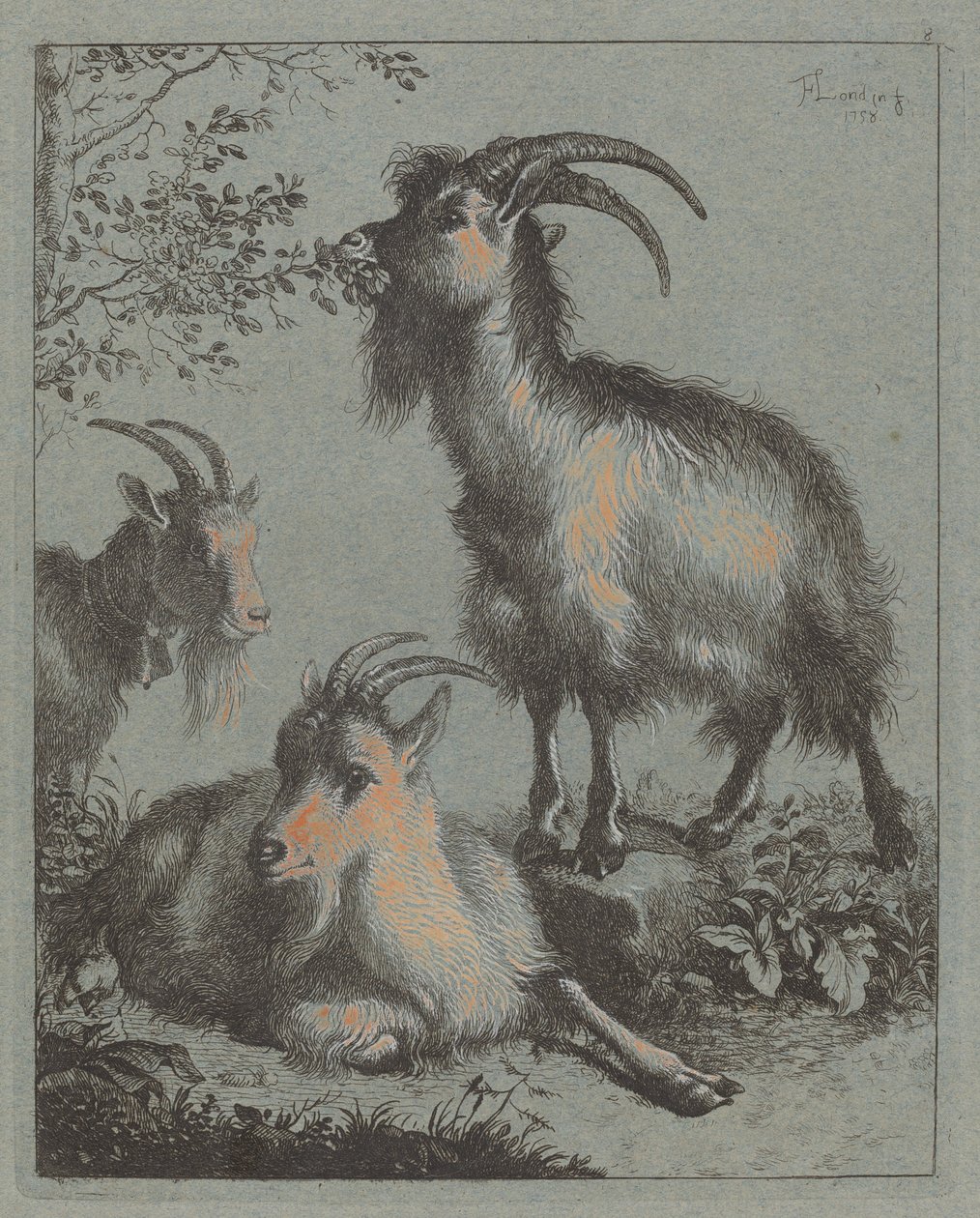 Drei Ziegen, 1758 von Francesco Londonio