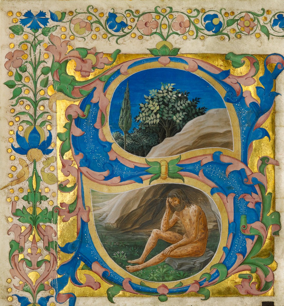 Initiale S: Hiob von Francesco di Antonio del Chierico