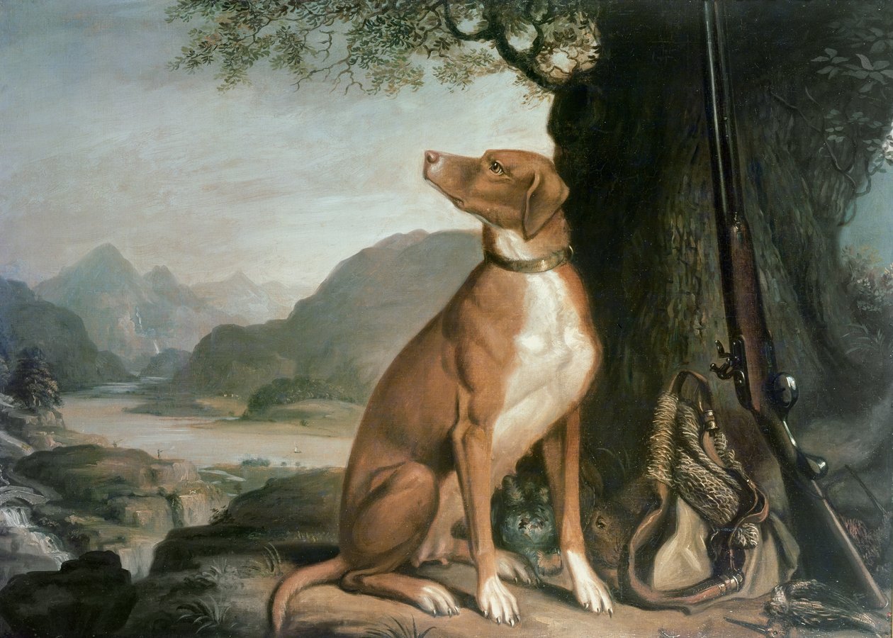 G. M. Johnstons Lieblingsjagdhund in einer Landschaft von J. Francis Sartorius