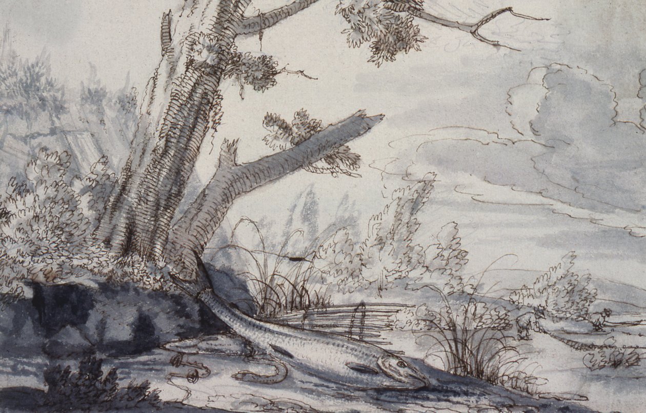 Fische auf einer Bank von Francis Barlow
