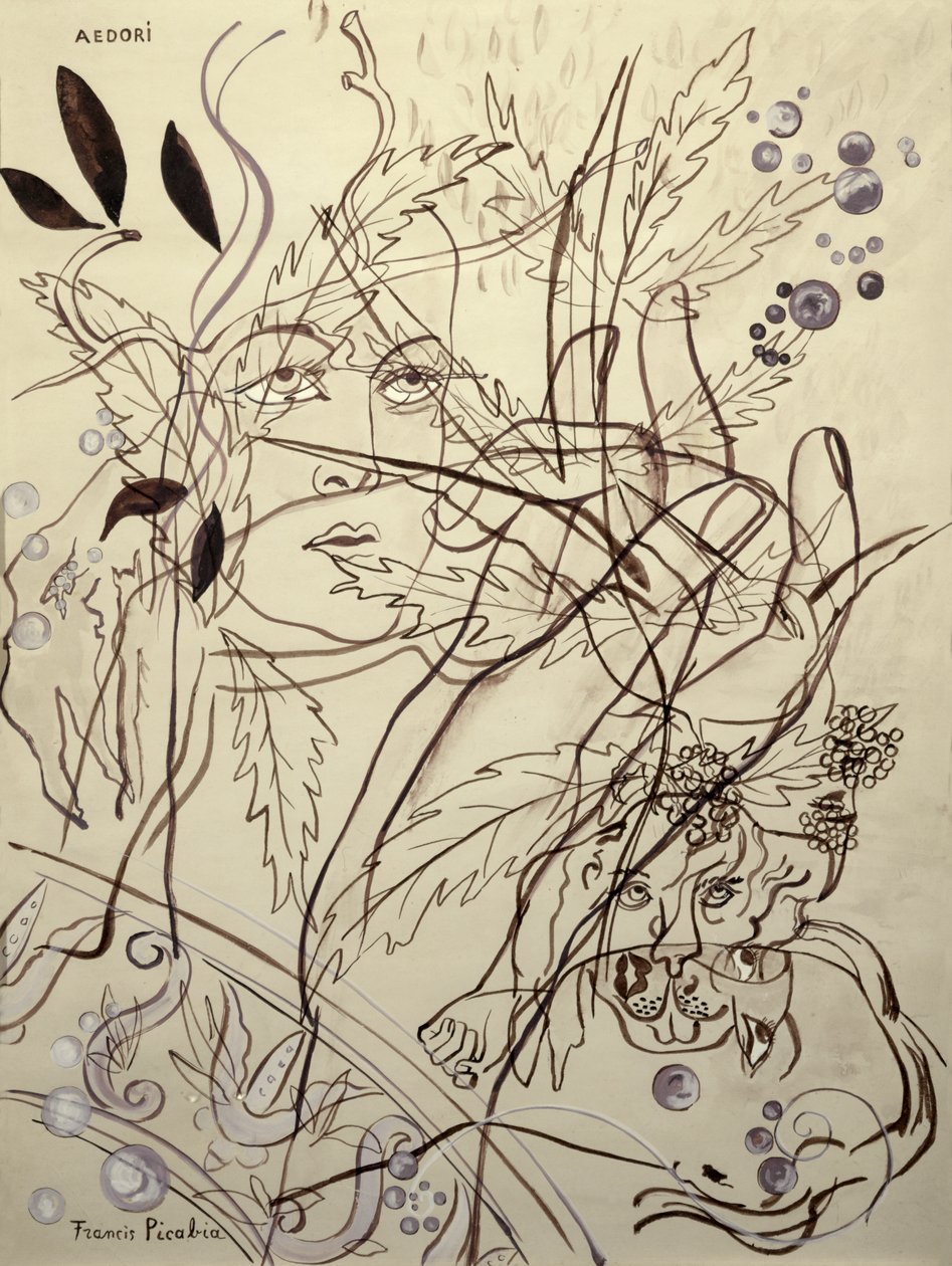 Aedori von Francis Picabia