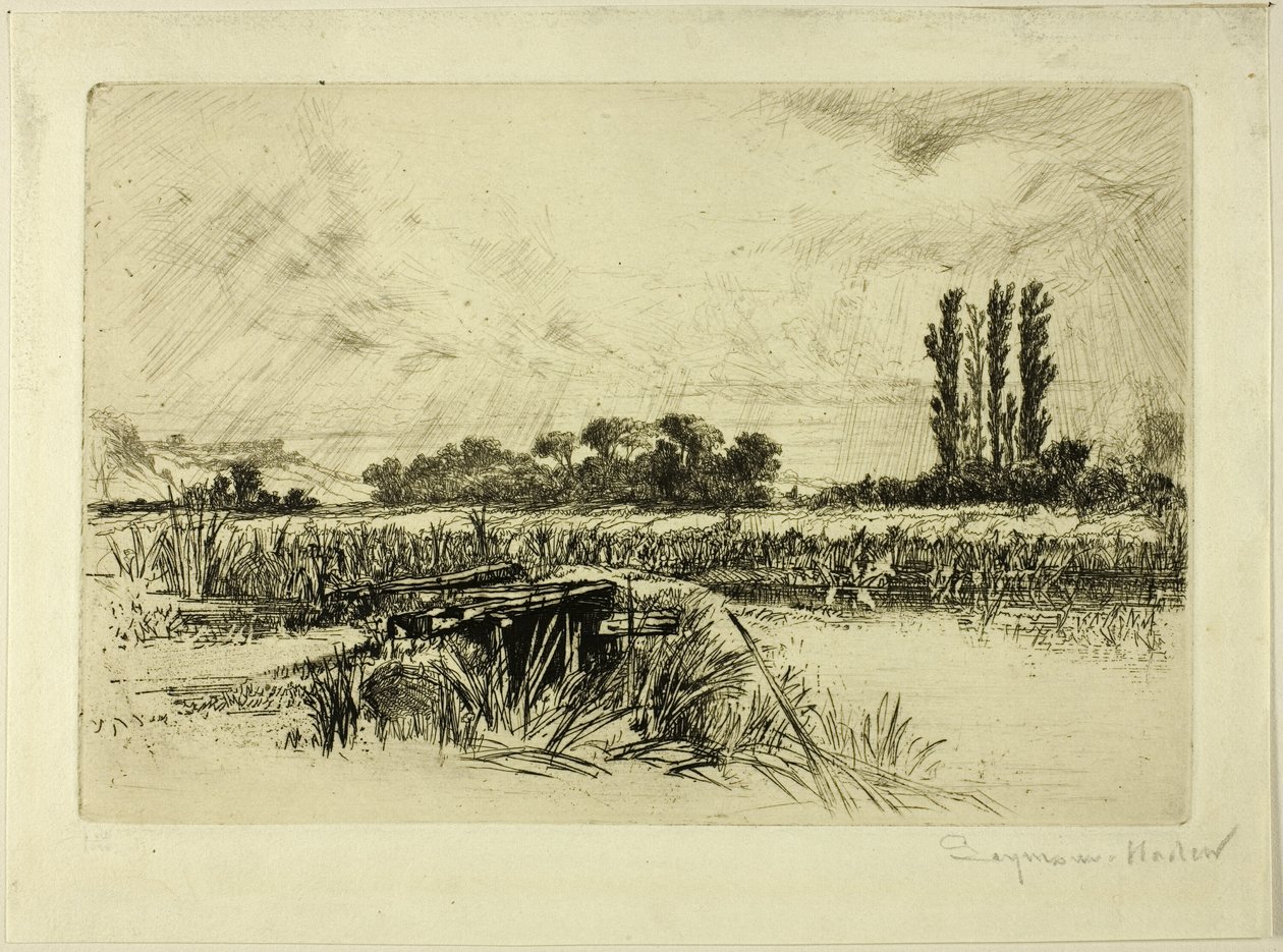 Eine Wasserwiese von Francis Seymour Haden