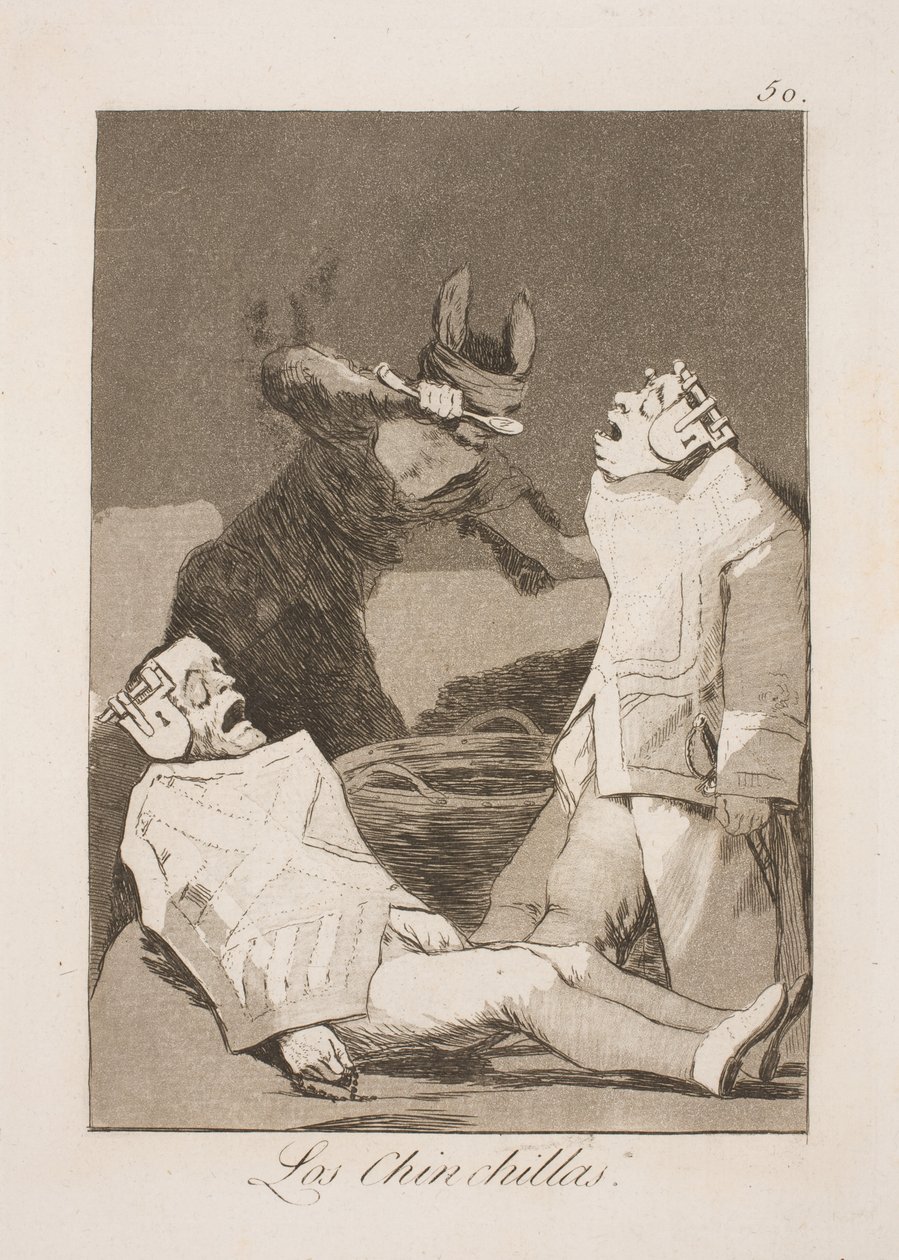 Chinchillarotter von Francisco de Goya