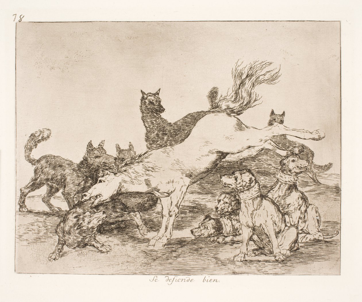 Sie verteidigen sich gut (78) von Francisco de Goya