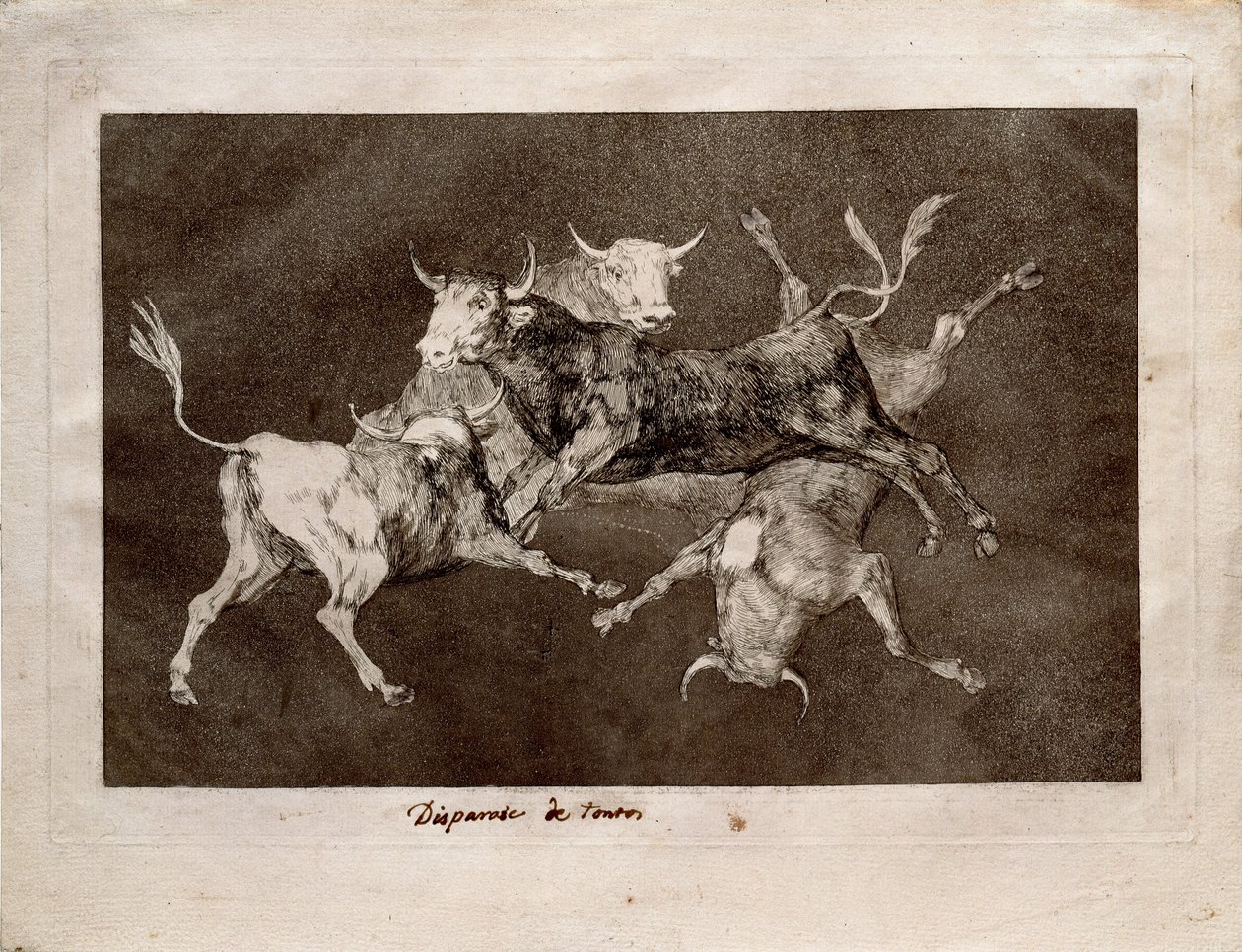 Narrenspossen von Francisco de Goya