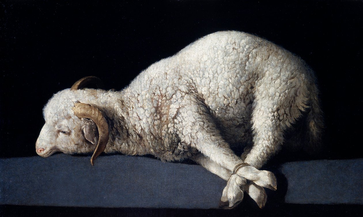 Agnus Dei von Francisco de Zurbaran