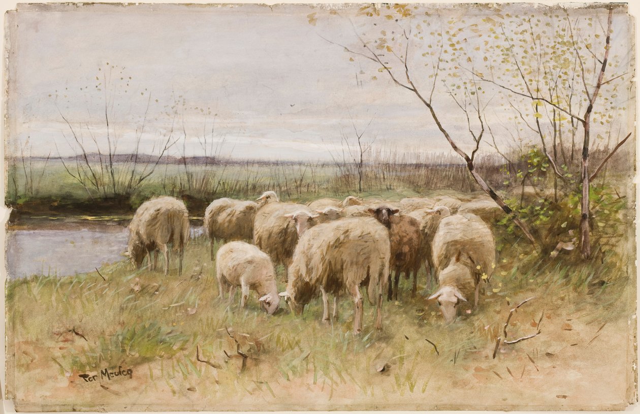 Schafe von Francois Pieter ter Meulen